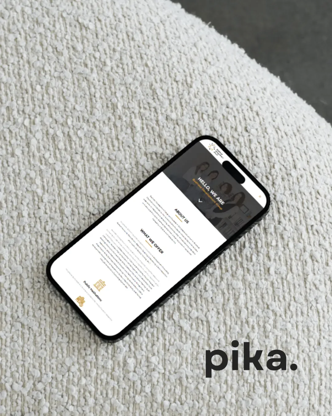 Webdesign-Projekt für Business Development Group